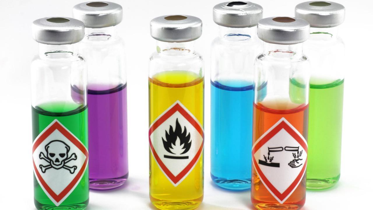 Bild Allergische Reaktionen